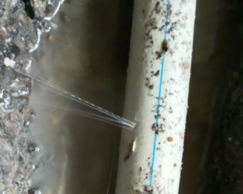 郴州卫生间测漏水多少钱