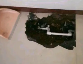 郴州卫生间测漏水多少钱